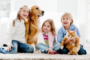 Pet Urine and Odor Removal in the DC Area Including Maryland, Northern Virginia and Baltimore.